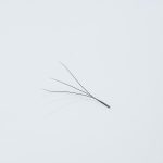 Κοντινή λήψη (macro) ενός έτοιμου fanβλεφαρίδων (premade fan) 3D, αποτελούμενου από 3 λεπτές, μαύρες ίνες ενωμένες στη βάση με μακρύ κορμό (long stem), για τεχνική volume με φυσικό αποτέλεσμα.