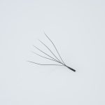 Κοντινή λήψη (macro) ενός έτοιμου pre made fan βλεφαρίδων (premade fan) 5D, αποτελούμενου από 5 λεπτές, μαύρες ίνες ενωμένες στη βάση με μακρύ κορμό (long stem), κατάλληλο για τεχνική volume extensions.