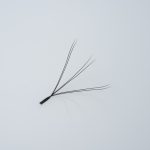 Κοντινή λήψη (macro) ενός έτοιμου fan βλεφαρίδων (premade fan) W-Shape, με χαρακτηριστική διάταξη ινών που σχηματίζουν το γράμμα W και μακρύ κορμό (long stem), για textured volume αποτέλεσμα.